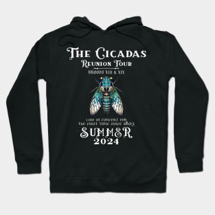 The Cicada Reunion U S Tour 2024 Hoodie